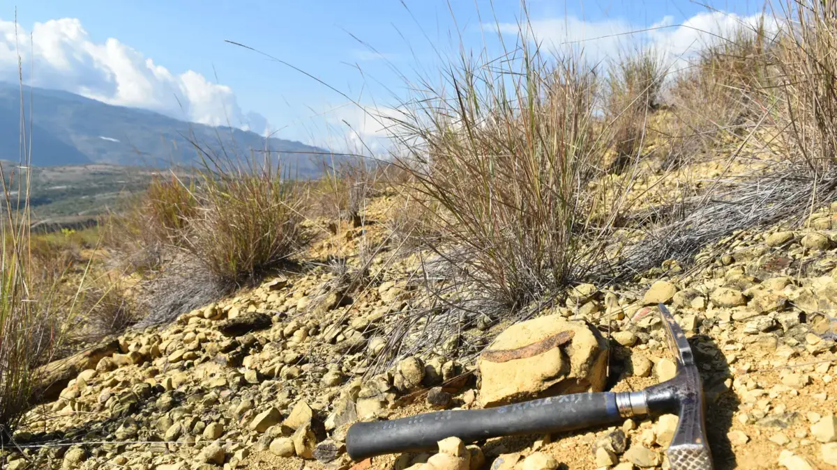 La historia de cómo científicos hallaron en Zapatoca los restos de un monstruo marino de 135 millones de años, el pliosaurio más antiguo de Colombia