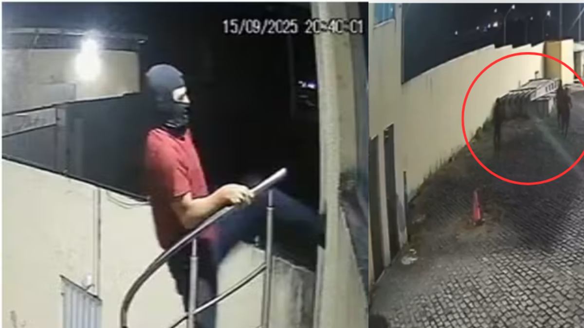 Guardia de seguridad le disparó a tres ladrones que intentaban entrar a robar un establecimiento en Brasil: dos delincuentes murieron