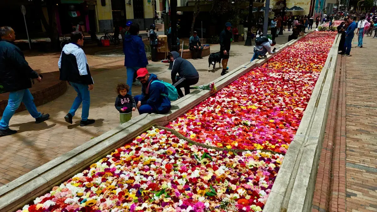 El canto del Río: un regalo de San Valentín para Bogotá