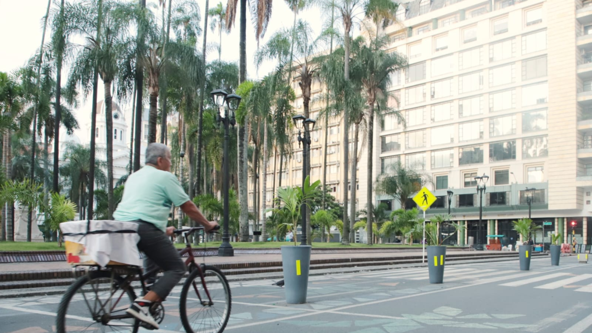 Día sin carro y sin moto en Cali | Se respiró un aire más limpio y aumentó el uso de transporte alternativo: se impartieron más de 300 comparendos