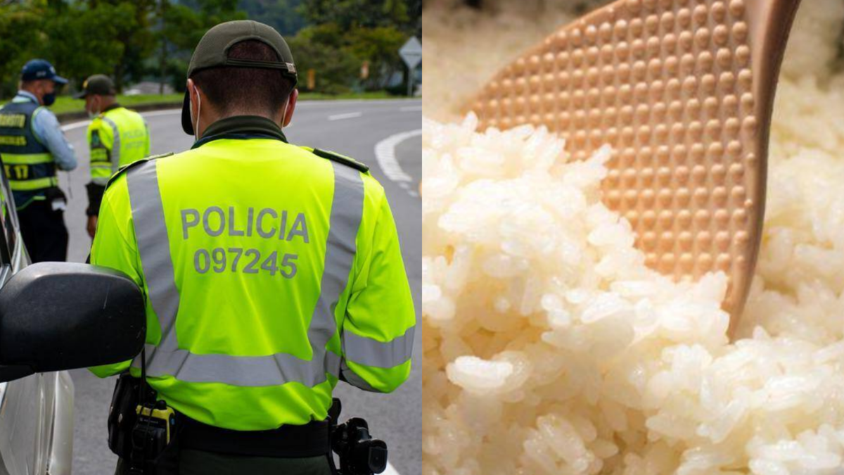 Dian incautó 146 toneladas de arroz en Colombia: los funcionarios afirmaron medidas claves para proteger los mercados agrícolas nacionales