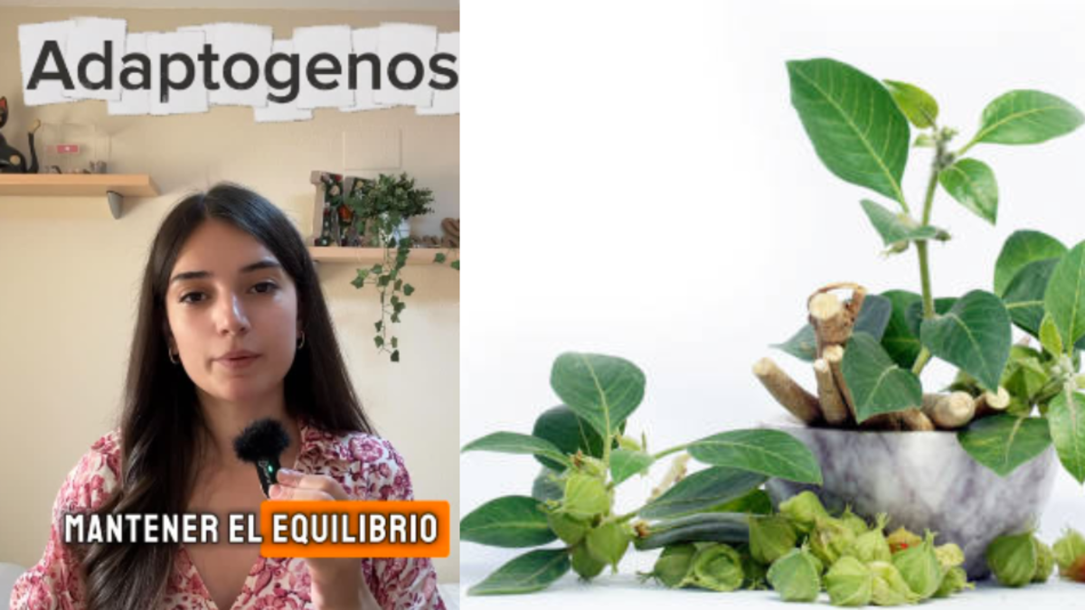 Los beneficios de la ashwagandha, popular planta que reduce la ansiedad, según la bióloga Mónica Pérez: 'Se adapta a lo que necesitas'