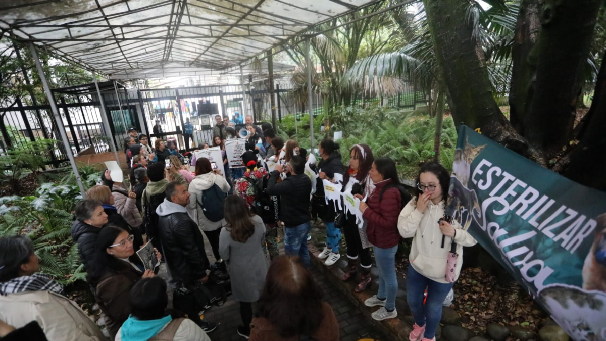 Animalistas protestaron este martes frente al Ministerio de Ambiente por el retraso en la implementación de la ley esterilizaciones gratuitas