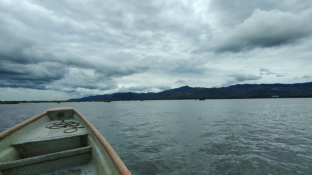 Lucha de pescadores para mantener viva la laguna de Sonso, una de las joyas de la naturaleza del Valle que agoniza entre la esperanza e incertidumbre