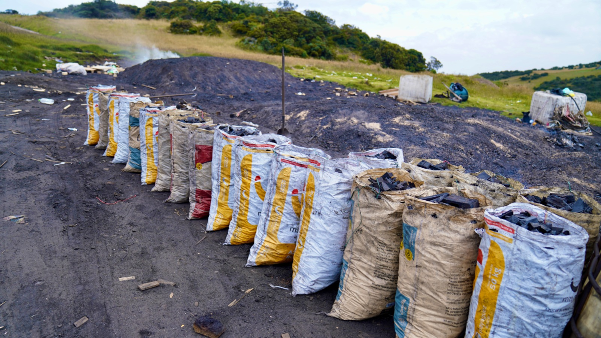 Autoridades frenan producción ilegal de carbón vegetal en zona rural de Ciudad Bolívar, sur de Bogotá