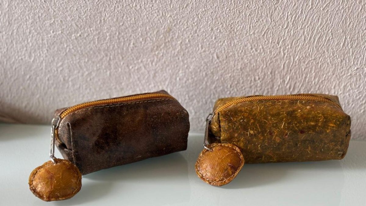 Innovación sostenible: jóvenes colombianos convierten desechos de frutas en monederos ecológicos