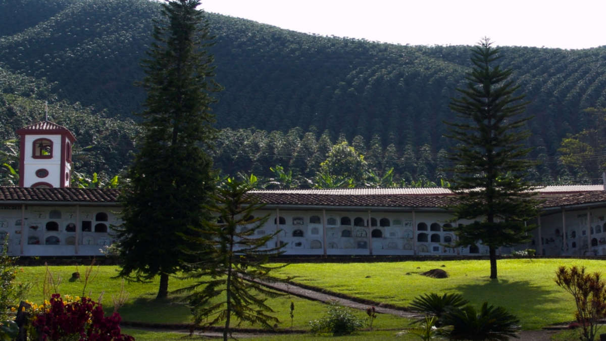 Concordia, el primer municipio de Antioquia declarado por MinAgricultura como zona Appa: ¿cómo influye la medida en el departamento?