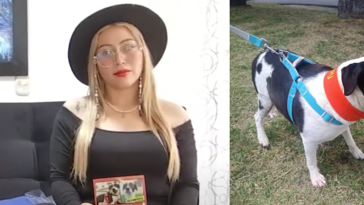 Mujer fue atropellada mientras buscaba a su mascota en Bogotá