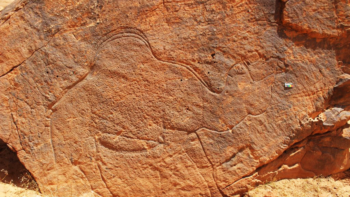 Un hallazgo en el medio del desierto hace a los arqueólogos ...