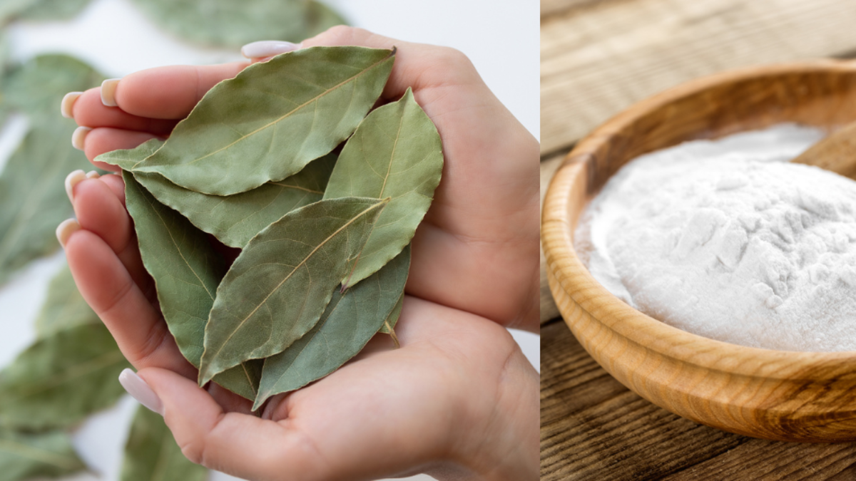 Bicarbonato y laurel: la receta precisa para una mezcla casera, poderosa y con varios usos