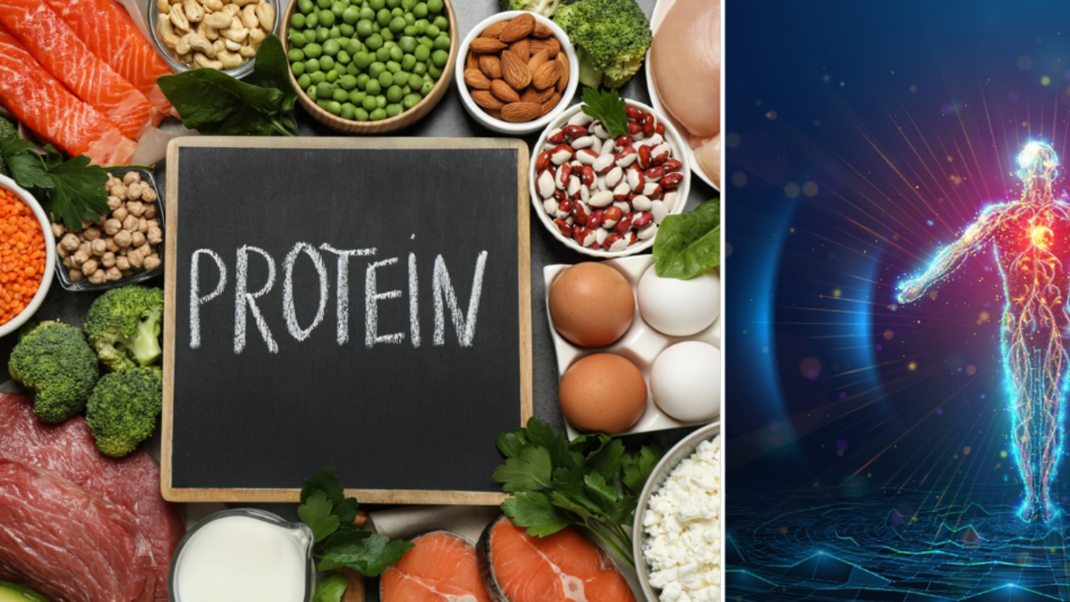 Las tres 'superfuentes' de proteína que no pueden faltar en su dieta: claves para reconstruir músculos, tejidos y células