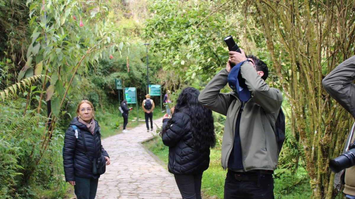 Más de 1.300 personas participaron en Cundinamarca en la jornada mundial de avistamiento de aves y aportaron 530 especies al registro nacional