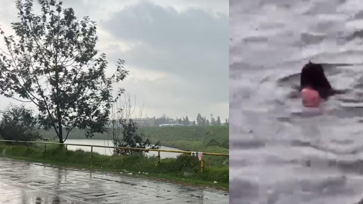 As?? fue el heroico rescate de dos polic??as y comunidad a una mujer y su beb?? de 10 meses en un r??o de Bogot??: '??Ser?? que se salv???'