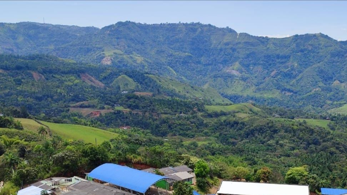 Comunidad de Cuatro Esquinas denuncia presiones armadas que frenan obra vial millonaria en El Tambo, sur del Cauca