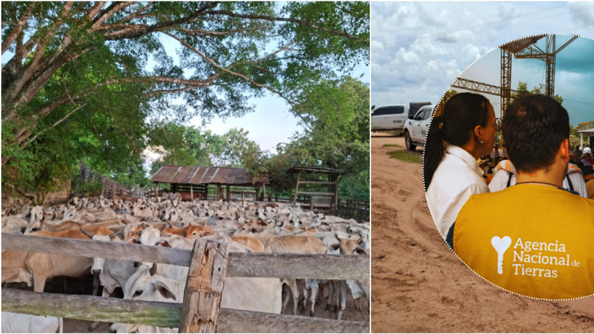 Bunshiro Takemoto, ganadero japonés que sobrevivió a dos secuestros y fundó escuela de prácticas en Meta, señala a la ANT de despojarlo de sus tierras