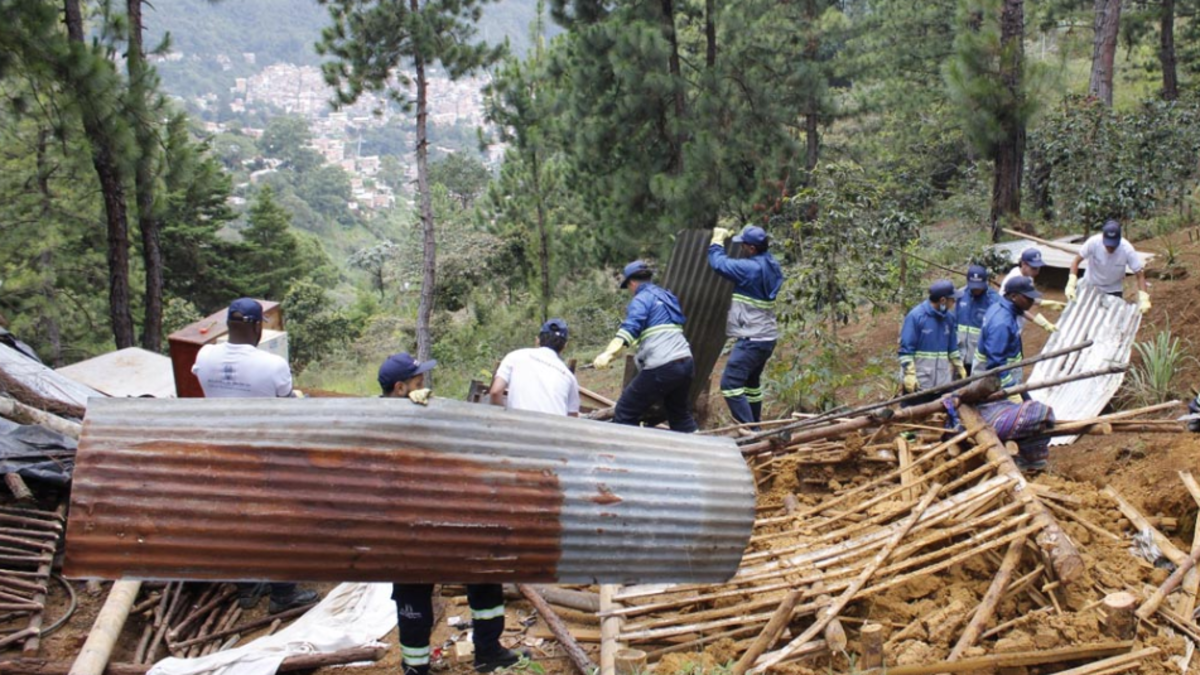 Medellín recupera el Cerro Pan de Azúcar: demuelen diez construcciones ilegales en zona protegida