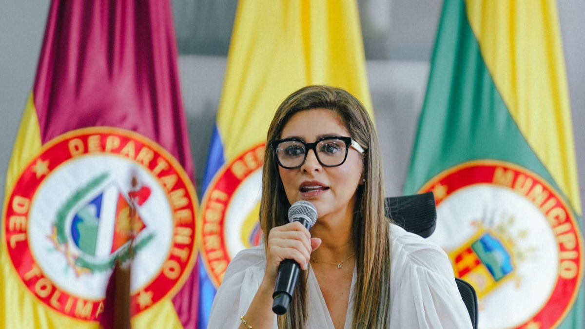 'Son casi 20.000 hectáreas afectadas por los incendios': gobernadora del Tolima, Adriana Magali Matiz