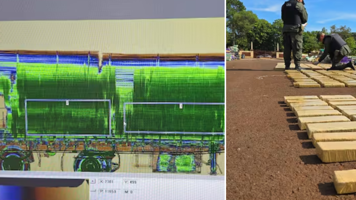  Así detectaron el inmenso contrabando de droga oculto en un cargamento de madera que iba...