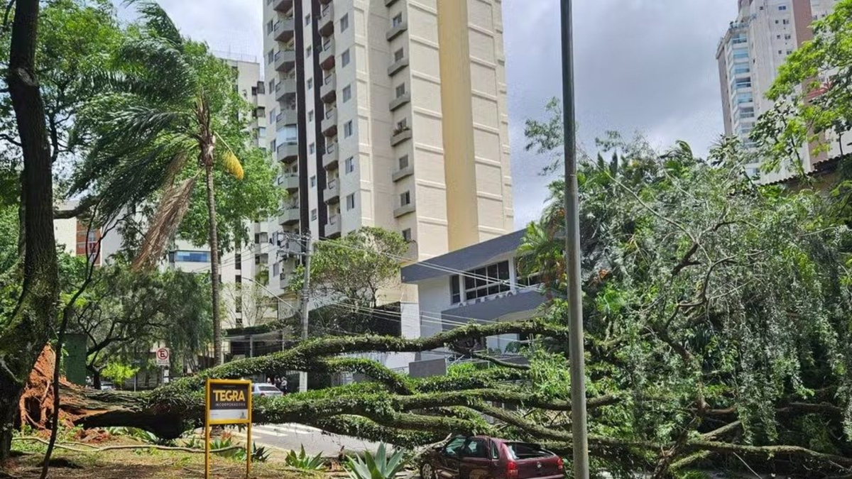  Videos | 'Histórico' ciclón en Sao Paulo deja a más de un millón de personas...