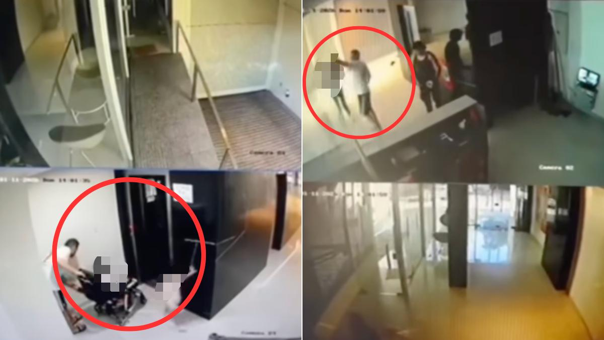  Indignante caso de maltrato animal: un hombre golpeó brutalmente a un perro que le ladró...