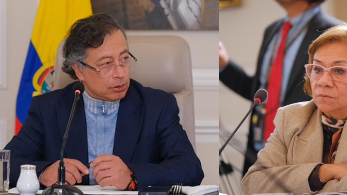 Los caminos que tienen el presidente Gustavo Petro y la canciller Rosa Villavicencio para entrar a EE. UU. sin visa
