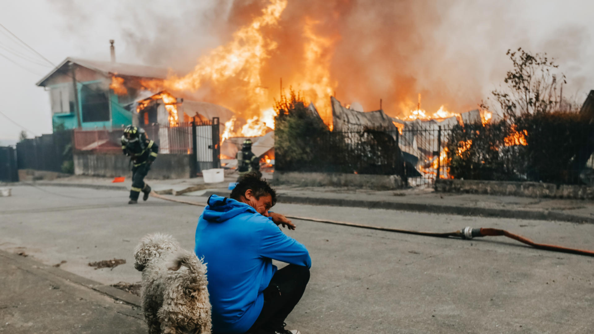 Suben a 19 los muertos por incendios forestales en Chile, mientras el fuego avanza sin control por el viento: hay sospechas de que fueron provocados