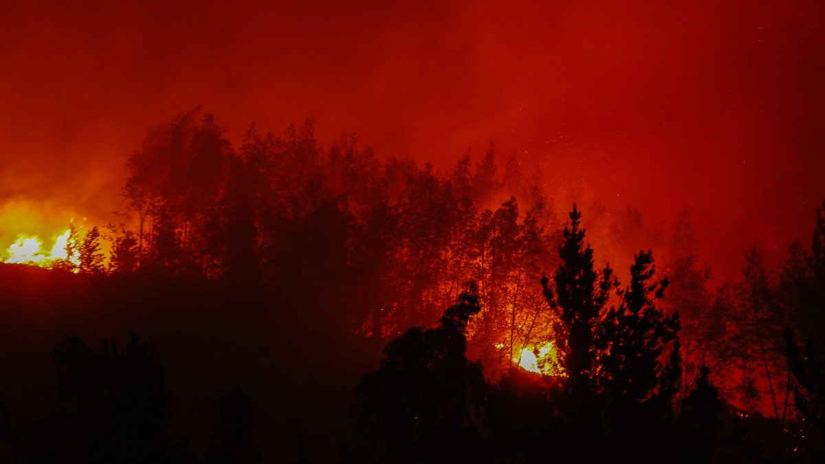 Chile: detienen a un tercer sospechoso por incendios intencionales que ya dejan 21 muertos y 20.000 damnificados