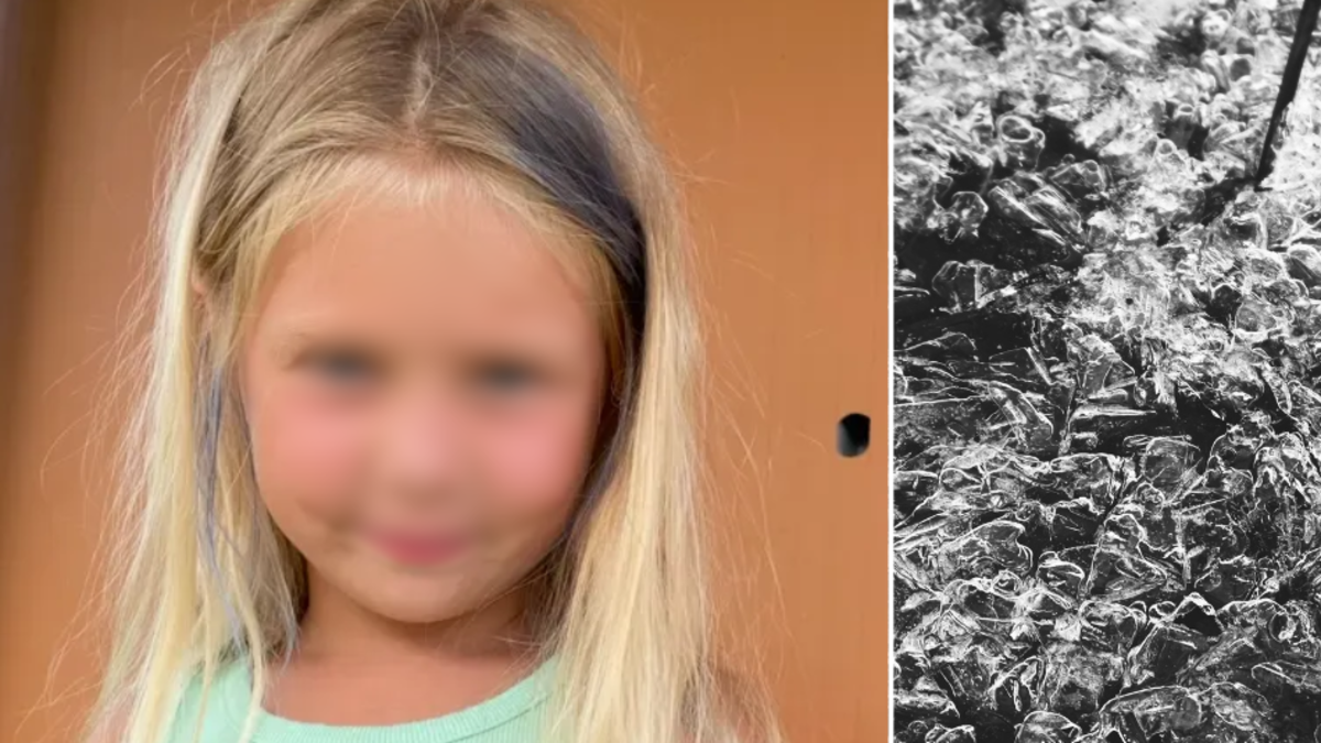 Tragedia vial: niña de ocho años pierde la vida en accidente por hielo 'negro' mientras se dirigía a su colegio