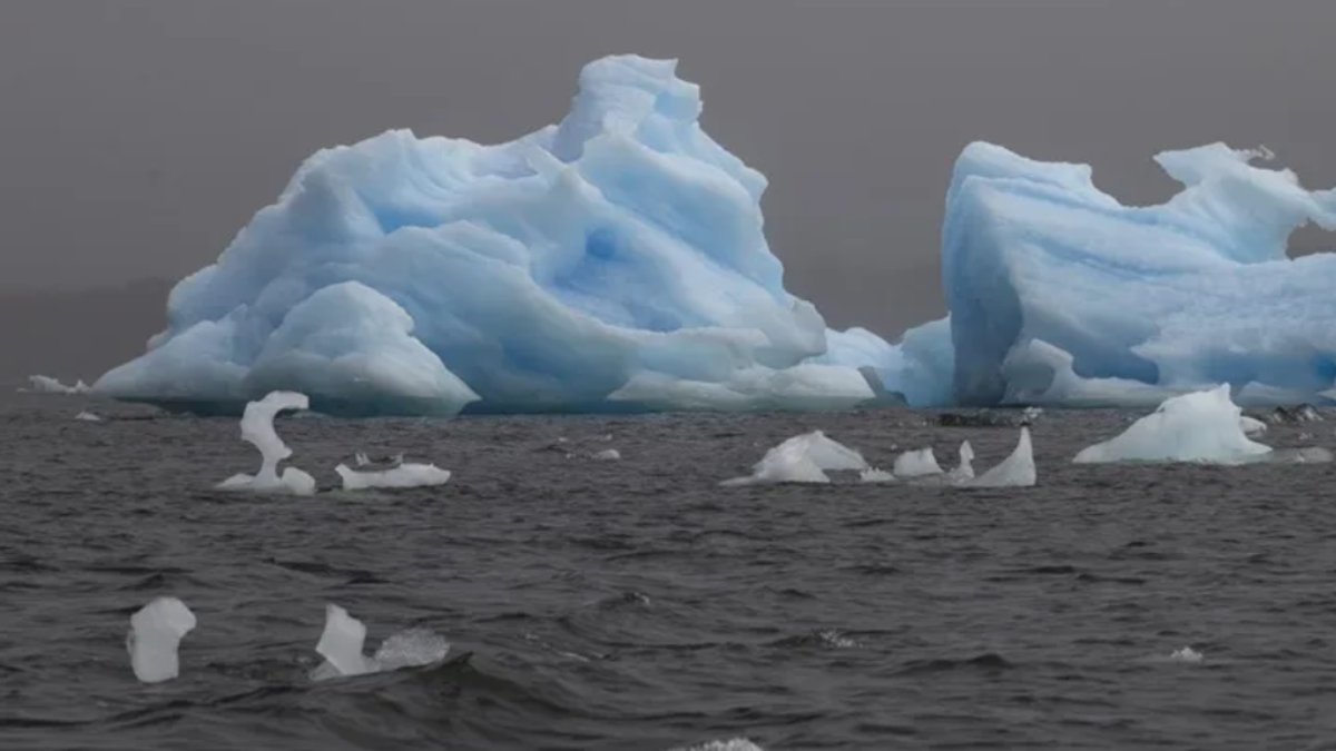La Antártida perdió más de 12.800 kilómetros cuadrados de hielo en la línea de apoyo en tres décadas, según estudio: 'El retroceso es impresionante'