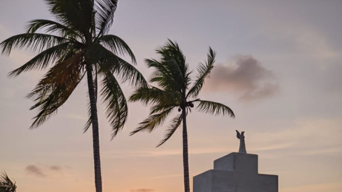 Kıyı erozyonuna karşı mücadelenin ortasında, Arama Birimi Necoclí mezarlığında 19 ceset buldu