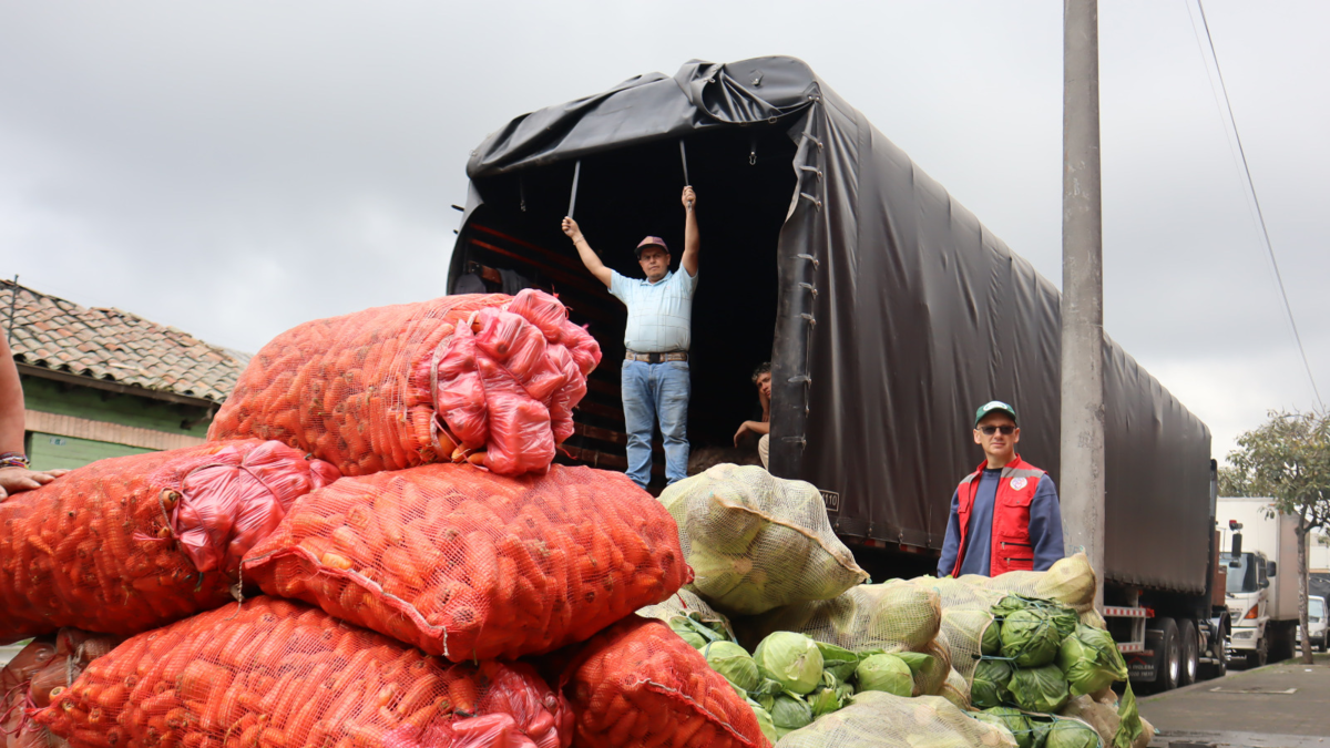 Colombia pierde alimentos desde el campo: casi dos tercios se dañan antes de la distribución