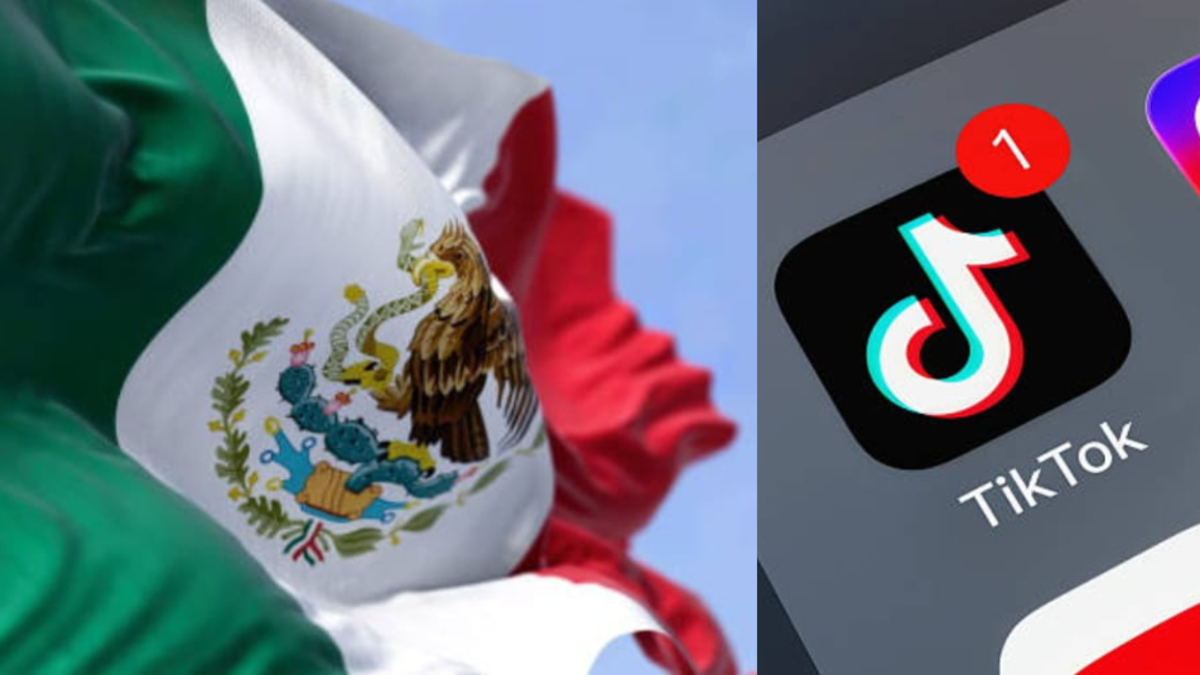 México advierte a Tiktok, Facebook, Instagram y Google: deben ayudar a combatir un gran problema de internet