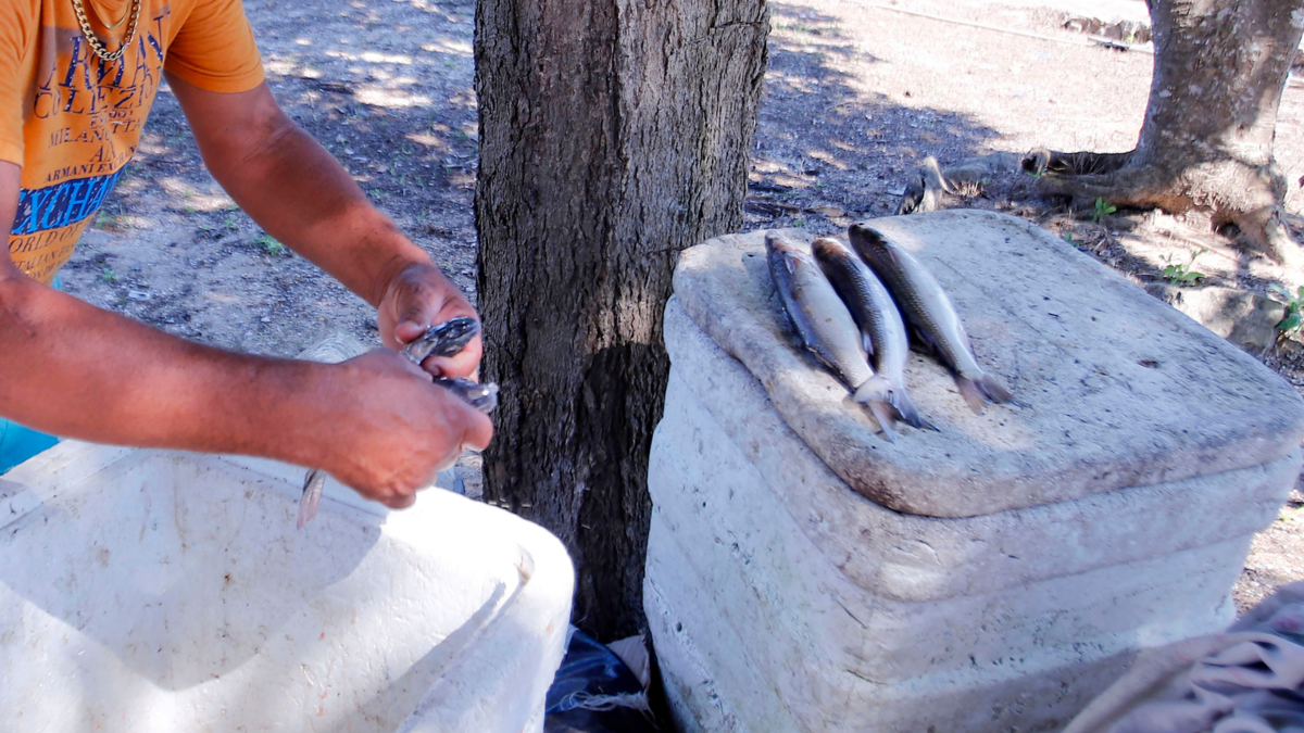 ¡Cuidado con la comida de mar en Semana Santa! Así refuerza el Atlántico la vigilancia sanitaria en la temporada de mayor consumo del año