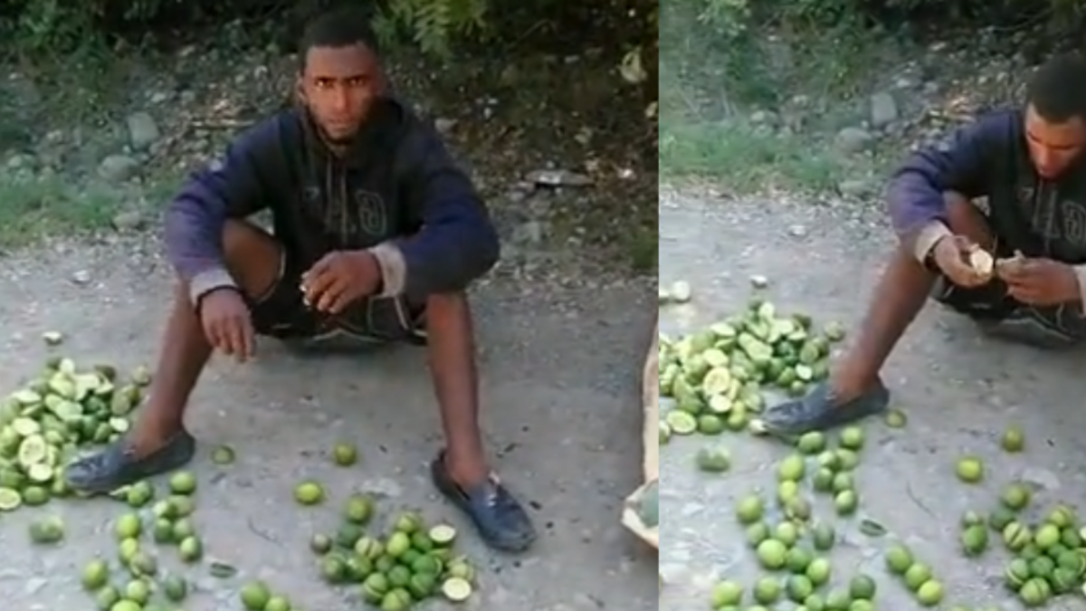 Ladrón entró a una finca a robar limones, pero campesino lo pilló y se los hizo comer uno a uno