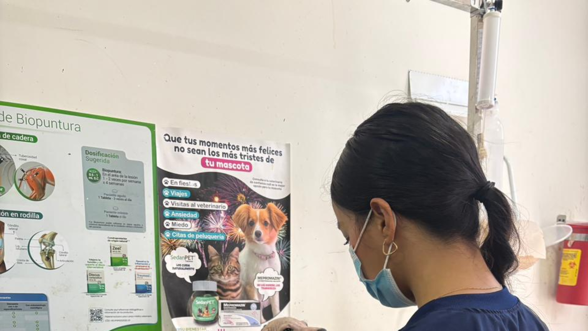 Rescate de más de 80 animales en Barranquilla: el Distrito asegura que intervención en vivienda evidencian condiciones insalubres y maltrato