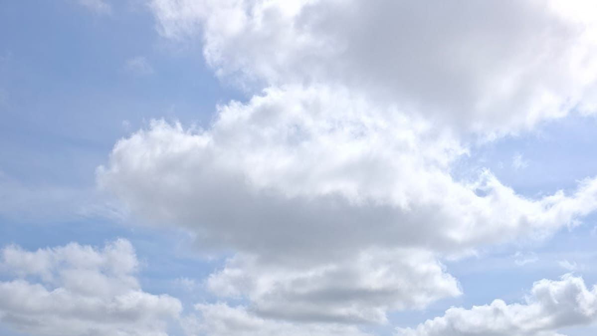 Soledad (Atlántico): con jornadas de limpieza buscan frenar riesgo aéreo en el Cortissoz; retiran toneladas de basura en zonas cercanas al aeropuerto