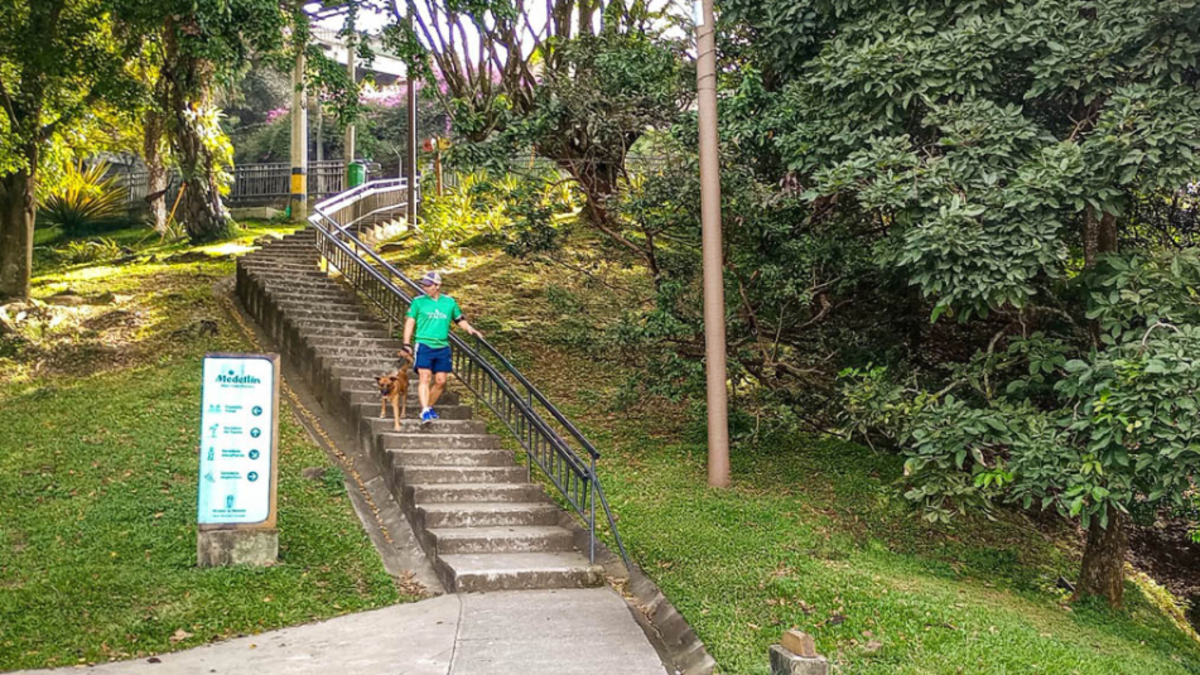 El Cerro Nutibara se consolida como eje ambiental y turístico de Medellín: tiene 90 especies de flora y 150 de fauna identificadas
