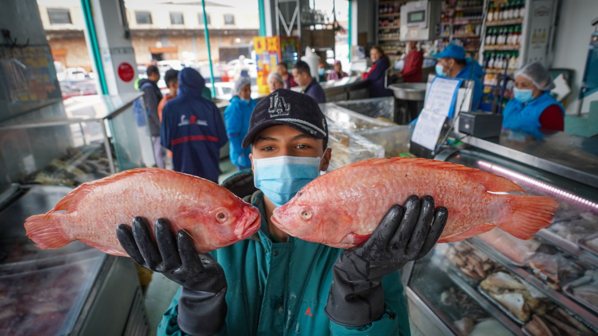 Así están los precios del pescado en las diferentes plazas de mercado de cara a esta Semana Santa