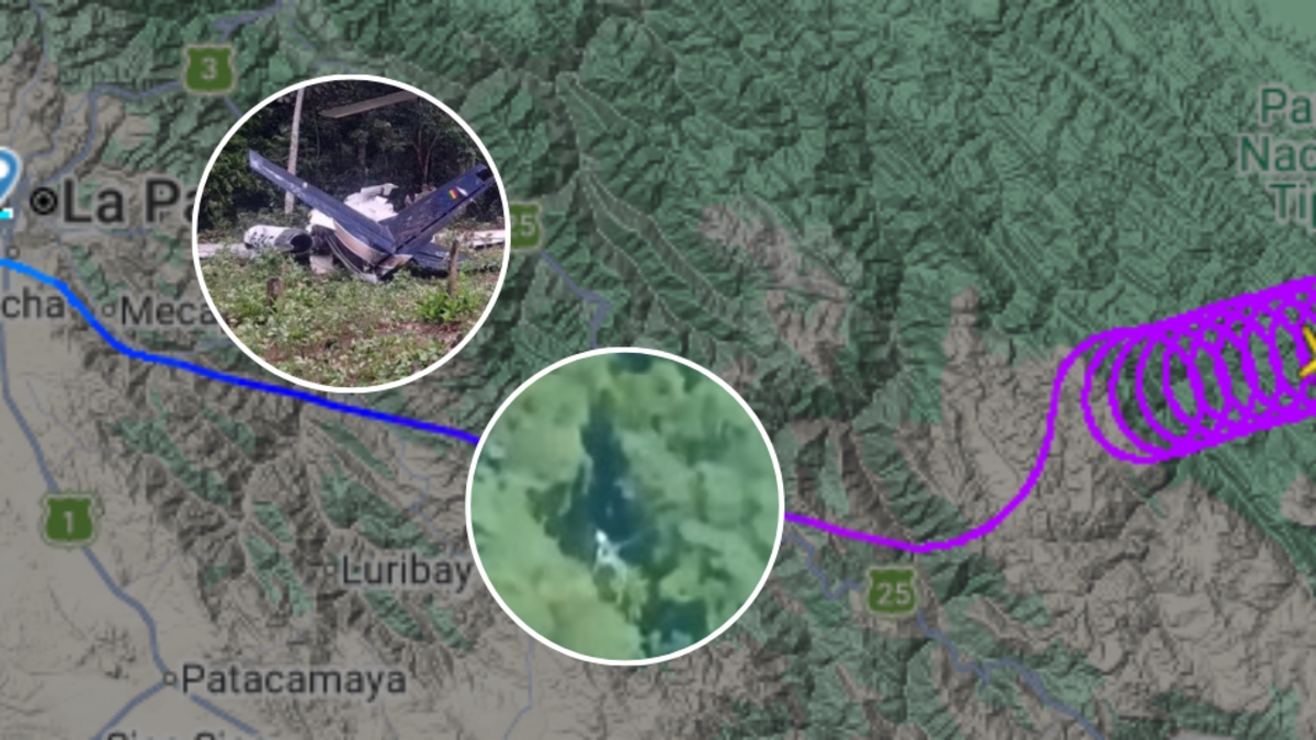  Video | Así quedó avión privado que se precipitó tras volar en círculos por dos...