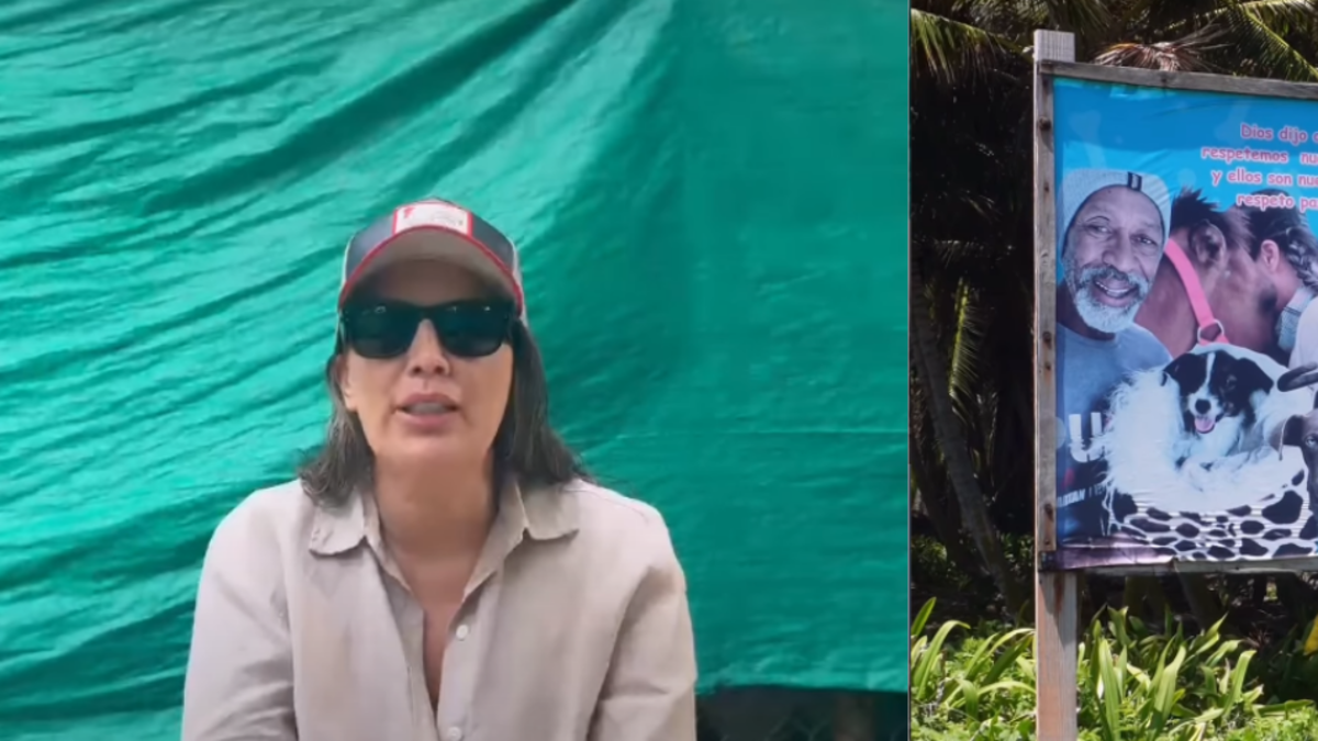 Refugio canino en San Andrés denuncia amenazas contra su fundador: 'Se metieron seis hombres con armas. Lo estaban buscando para matarlo'