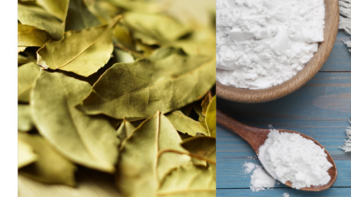 Por qué recomiendan mezclar hojas de laurel con bicarbonato: una receta que tiene varias ventajas y usos en casa