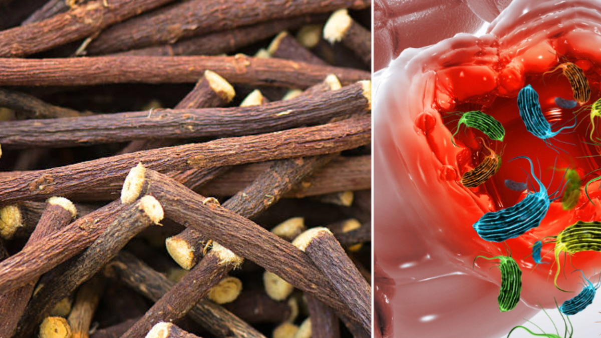 Descubren el ‘oro dulce’: un compuesto del regaliz podría frenar el Crohn, reducir la inflamación y prevenir la muerte celular