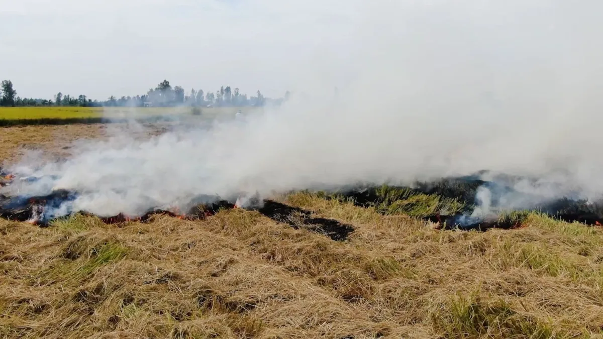 Gobierno alista ’emergencia nacional’ para lanzar salvavidas al agro golpeado por El Niño: estas son sus peticiones urgentes