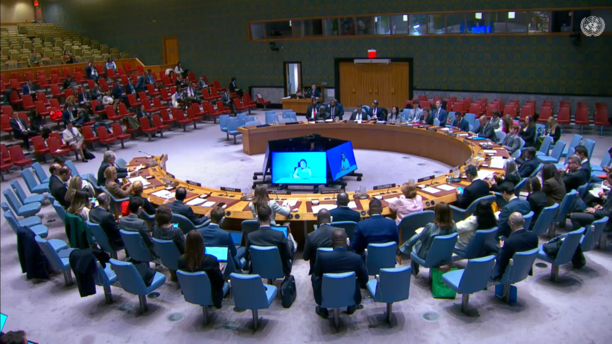 'Quien asuma la Presidencia enfrentará el reto de consolidar la paz': Misión de la ONU presentó informe sobre Colombia ante el Consejo de Seguridad