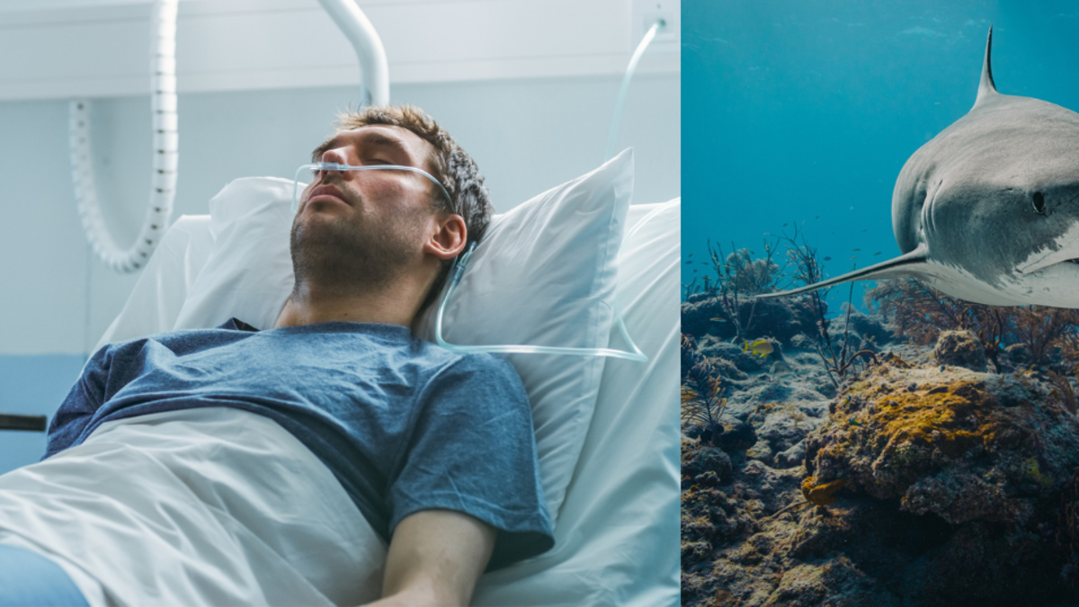 Médico español perdió una pierna tras ser atacado por un tiburón tigre durante su luna de miel en Maldivas