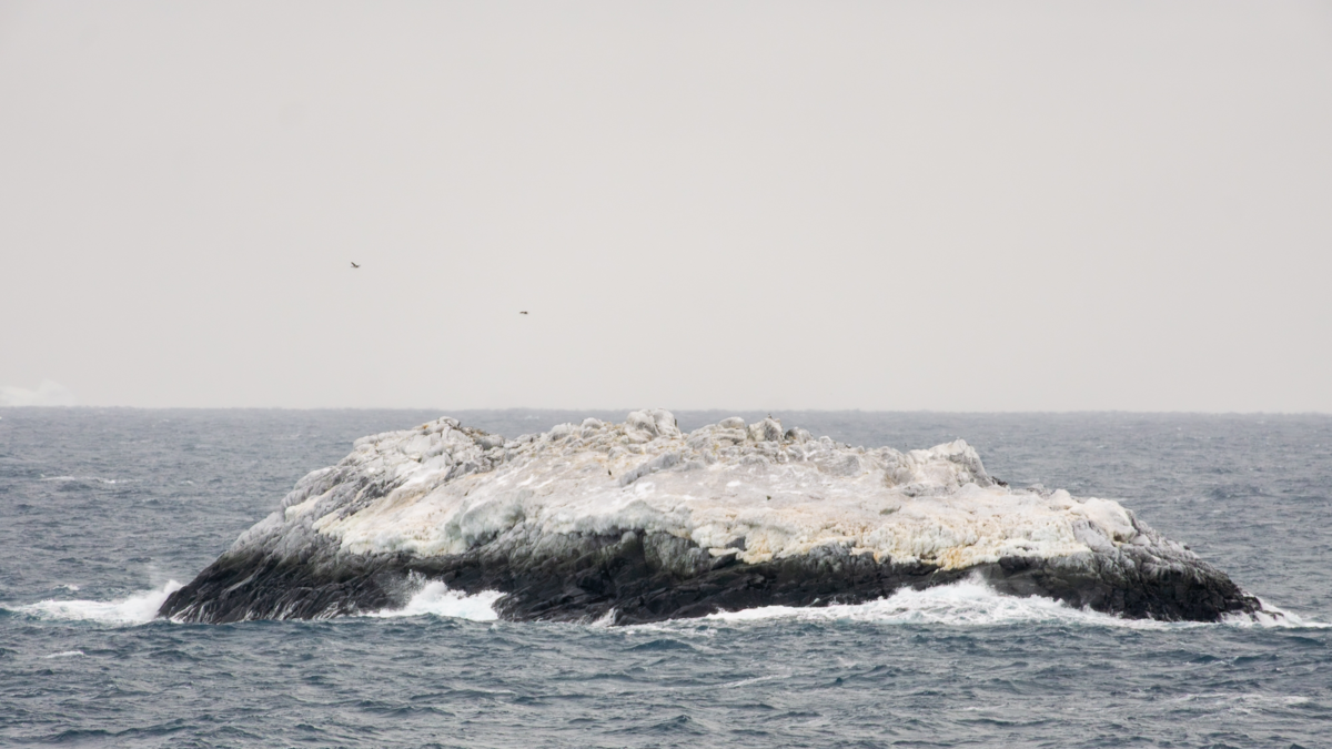 Científicos descubrieron una isla nunca antes registrada en la Tierra durante su expedición marítima en la Antártida