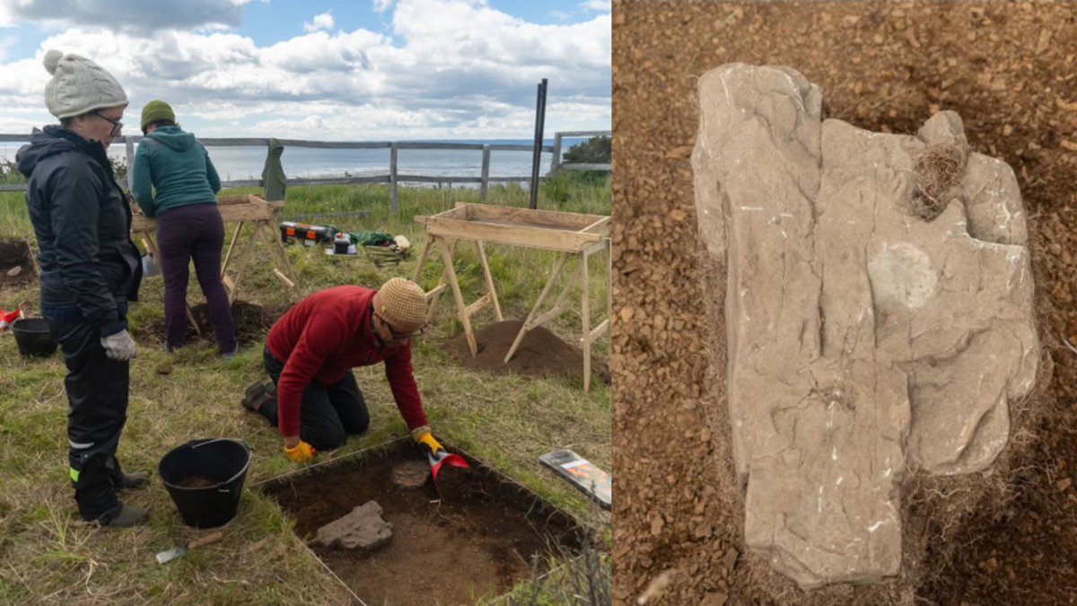 Hallazgo de una moneda del siglo XVI confirma el origen de una fallida colonización en Chile: más de 300 españoles murieron de inanición