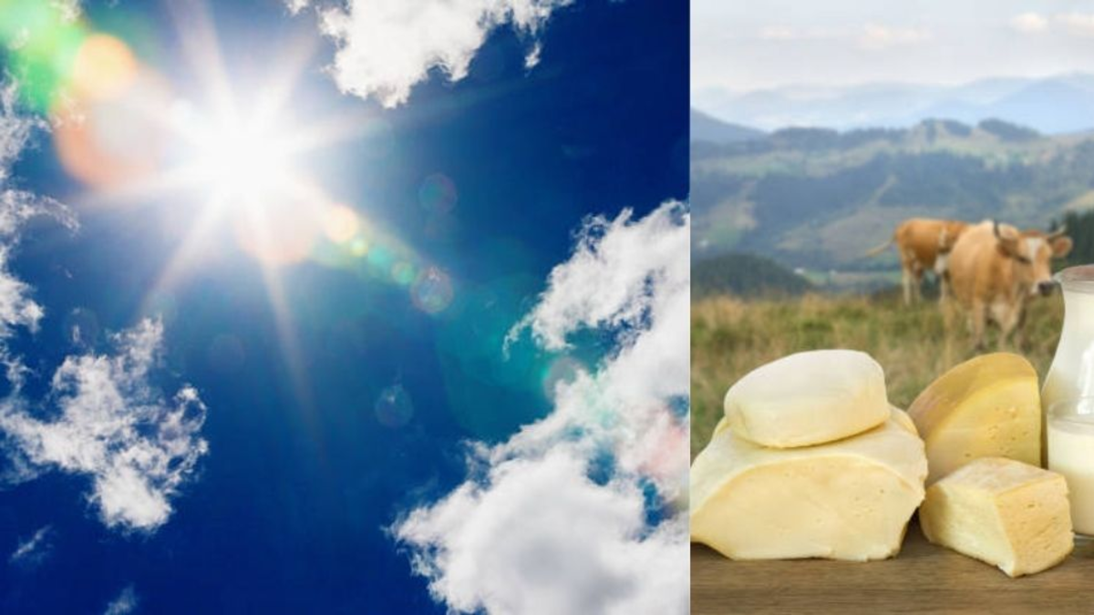 ¿Subirán los precios de la leche y el queso por el fenómeno de El Niño en Colombia? Ganaderos advierten del impacto: 'Esto es muy preocupante'