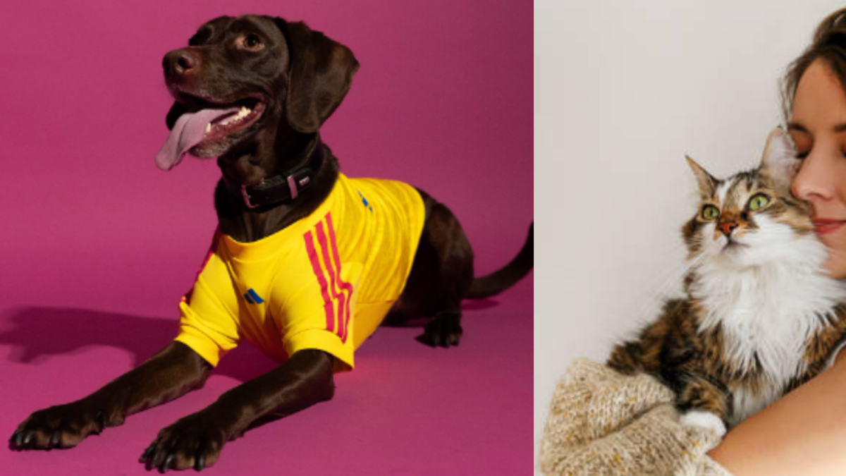 Adidas lanza camiseta de fútbol de la Selección Colombia para mascotas: ¿cuándo estará disponible?