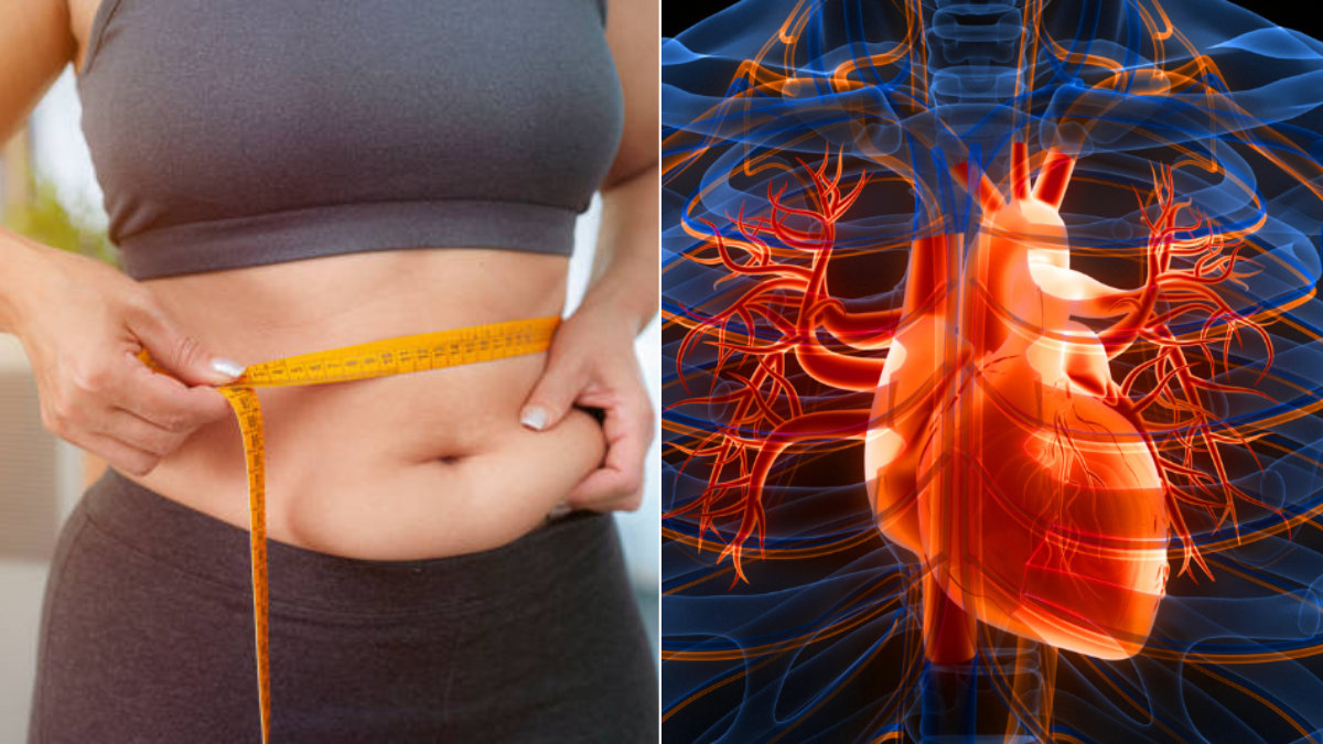 ¿Tiene barriga? La grasa abdominal podría elevar el riesgo de insuficiencia cardíaca incluso con peso normal, según estudio